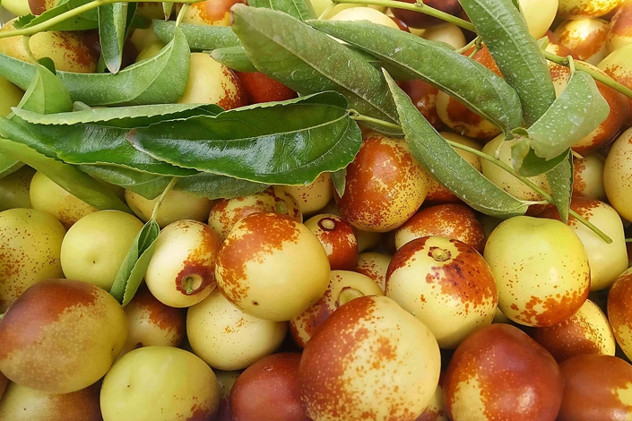 �읙(r��n)�������ܱO(ji��n)�؃x����С������(w��)��(y��u)��(li��n)���������������أ��ԃr(ji��)�ȳ������r(n��ng)��ֵ�Ó���