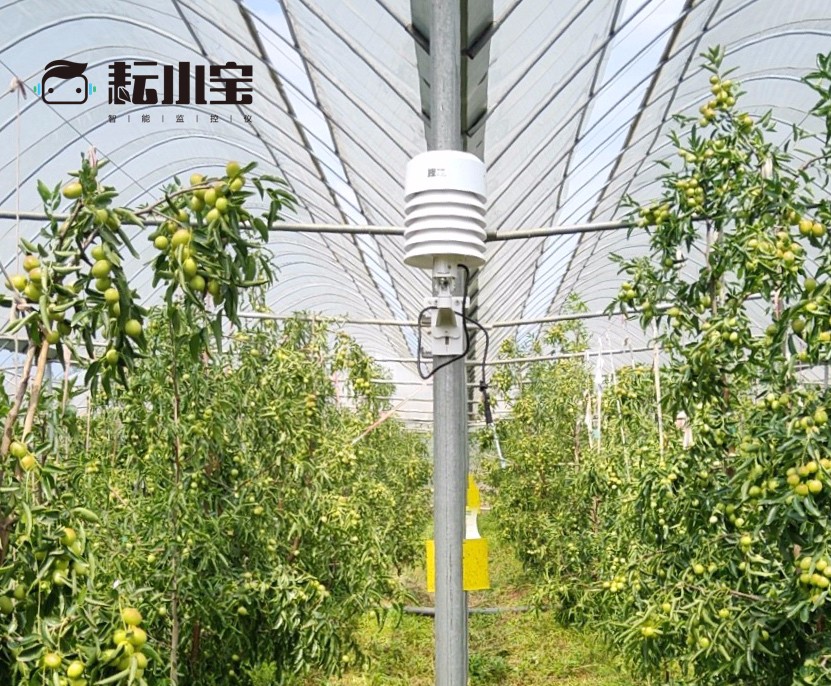 �읙(r��n)�������ܱO(ji��n)�؃x����С������(w��)��(y��u)��(li��n)�������������������ԃr(ji��)�ȳ������r(n��ng)��ֵ�Ó���