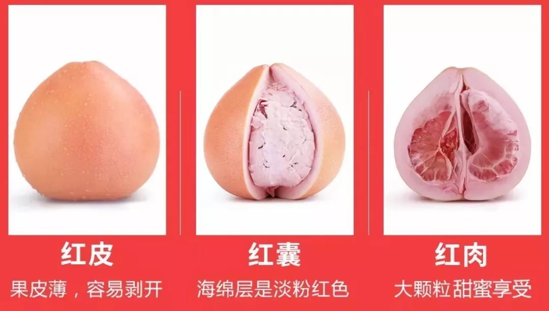 ��С������(w��)�ǻ۹��I(y��)���a(ch��n)���ƹ����ء����������t����������������ǰ�A(y��)��