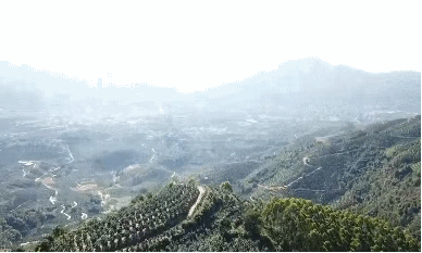 ��С������(w��)�ǻ۹��I(y��)���a(ch��n)���ƹ����ء����������t����������������ǰ�A(y��)��