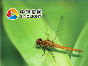 �p�����F�W(w��ng)վ���O(sh��)