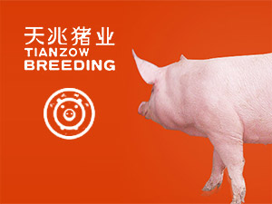 �����i�I(y��)�W(w��ng)վ���O(sh��)