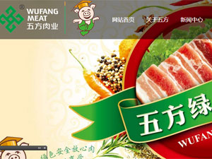 �������巽���޹�˾�Wվ���O