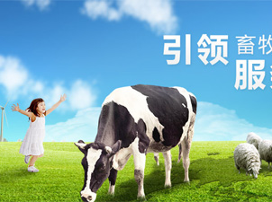 �Ї������̿���˾�W(w��ng)վ���O(sh��)