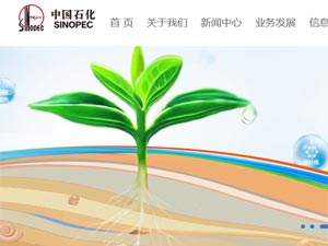 �Ї�ʯ���W(w��ng)վ���O(sh��)