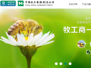 �����ɷݾW(w��ng)վ���O(sh��)