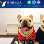 ���Ќ���W(w��ng)վ���O(sh��)