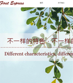 ���}�Ƶ�W(w��ng)վ���O(sh��)