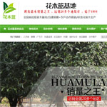 ��ľ�{�W(w��ng)վ���O