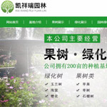 �P�����@�־W(w��ng)վ���O